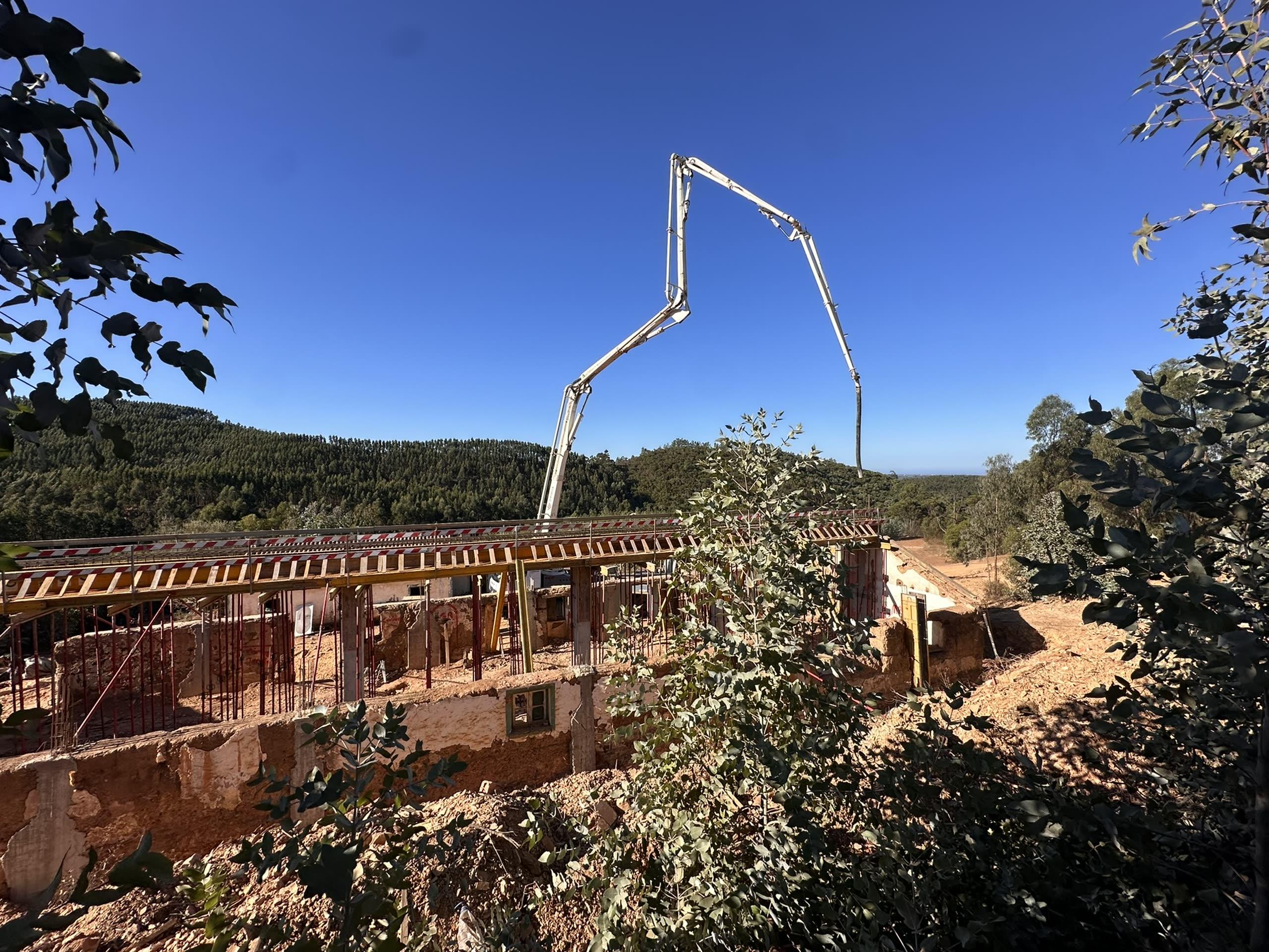 Carrascalinho — in progress photo 2