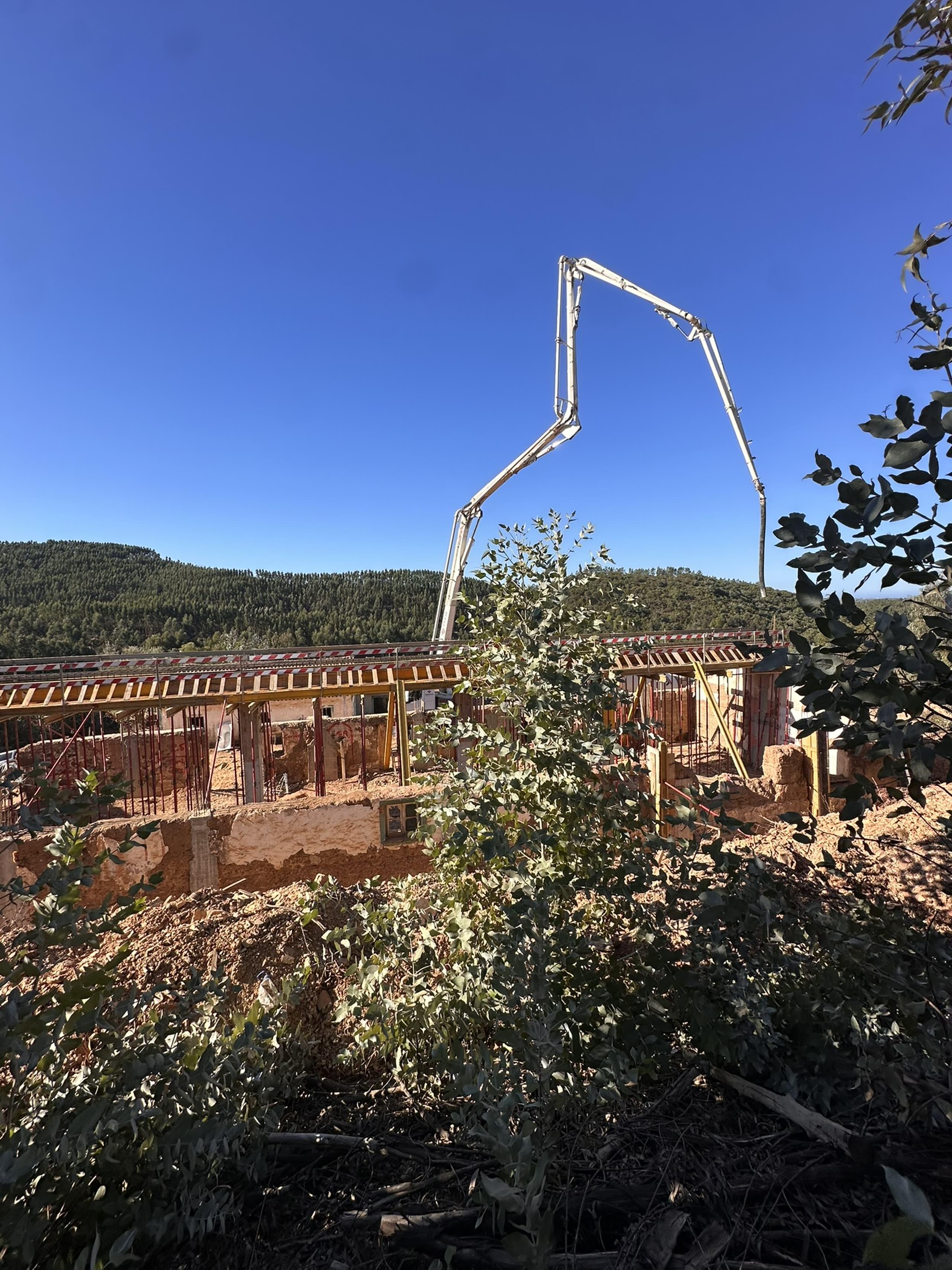 Carrascalinho — in progress photo 3